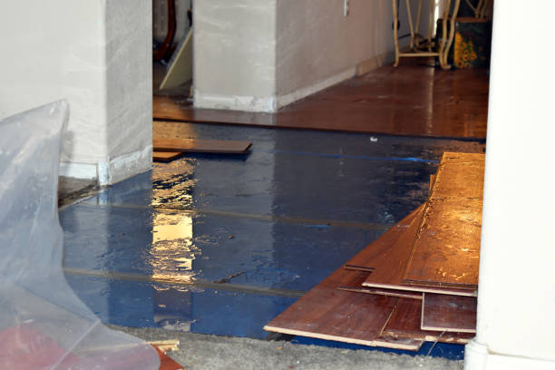 Professional Burst Pipe Cleanup technician working in Richland, TX